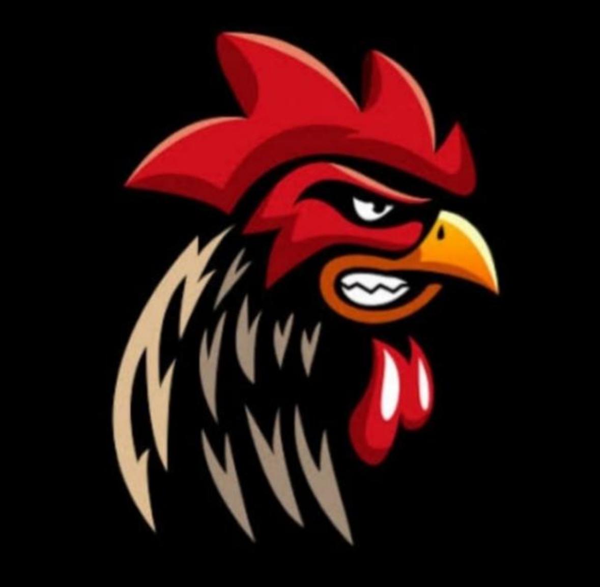 Cocks Flag Football